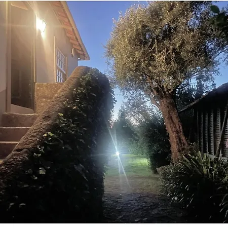 Casa Da Oliveira בית נופש פונטה דה לימה