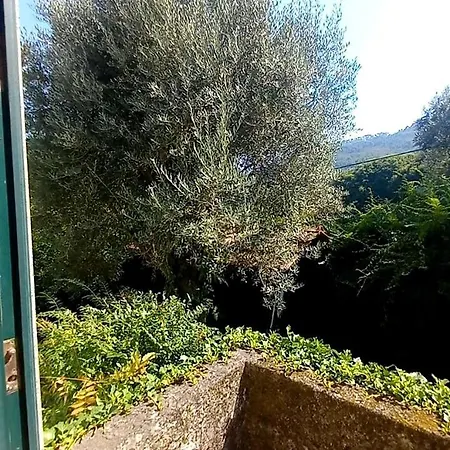 בית נופש Casa Da Oliveira *