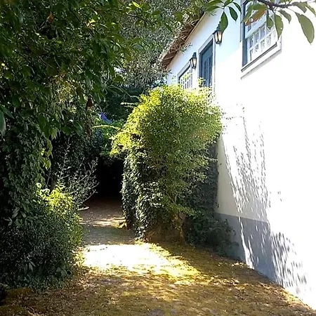 Casa Da Oliveira בית נופש *